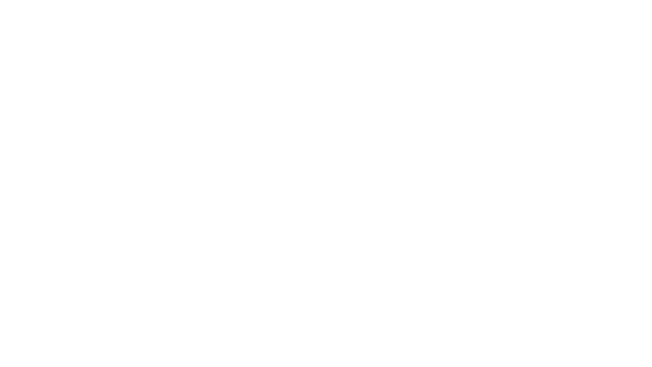 Hoffmann Group