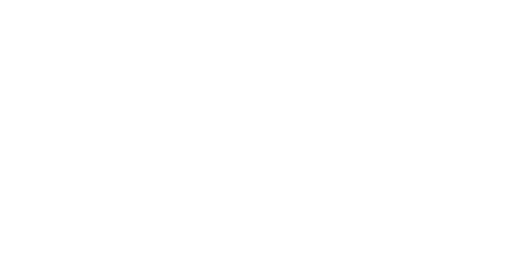 Jet Import | Red Bull