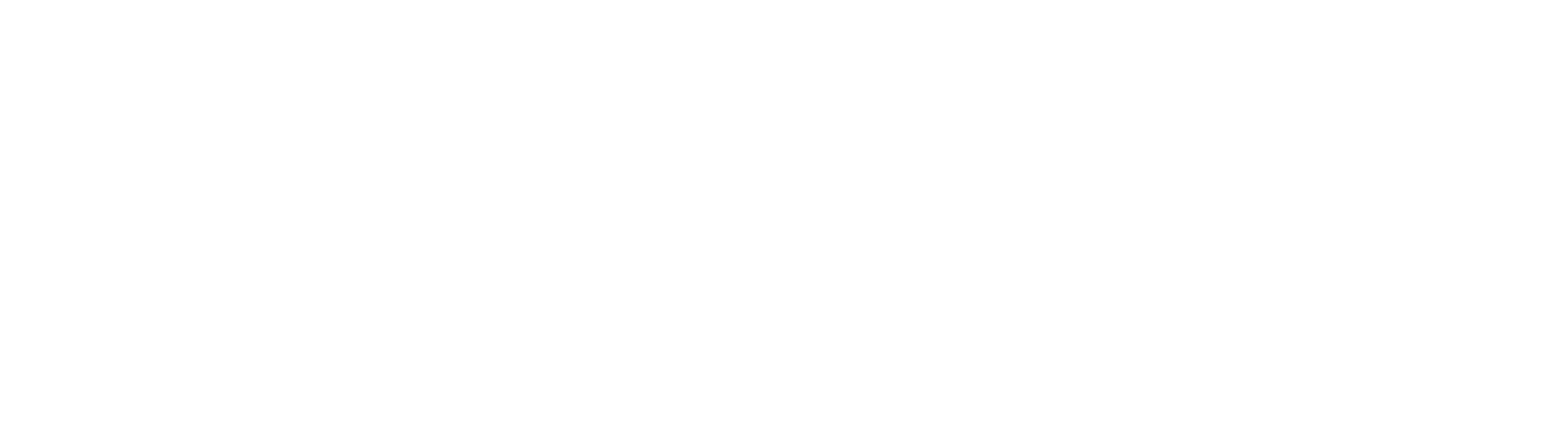 Southern States Toyotalift logo