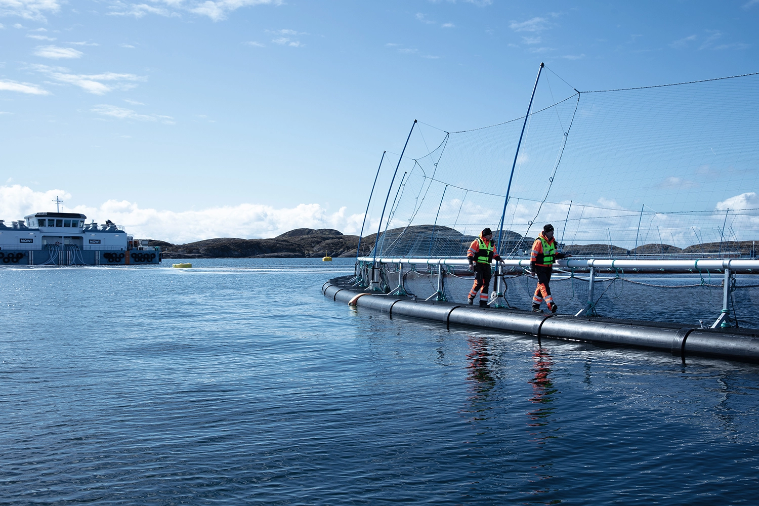 Scale AQ fish pen inspection